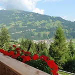 Appartement Alpenjaeger Hainzenberg